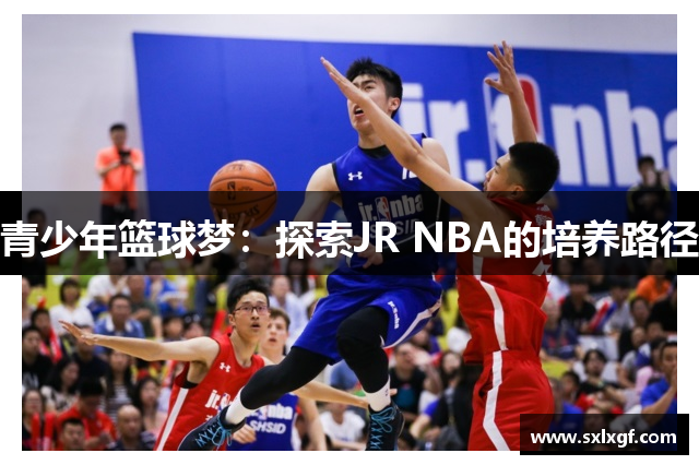 青少年篮球梦：探索JR NBA的培养路径