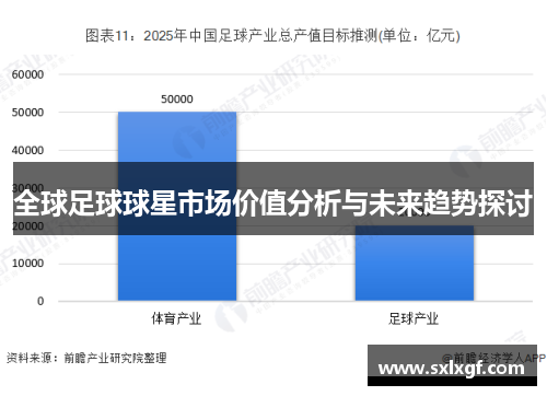 全球足球球星市场价值分析与未来趋势探讨