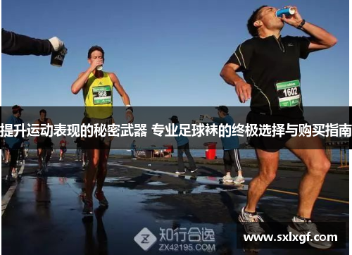提升运动表现的秘密武器 专业足球袜的终极选择与购买指南