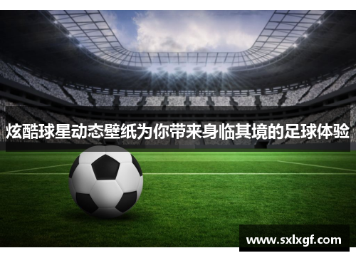 炫酷球星动态壁纸为你带来身临其境的足球体验