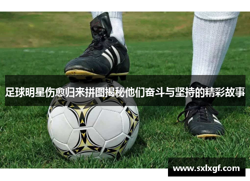 足球明星伤愈归来拼图揭秘他们奋斗与坚持的精彩故事