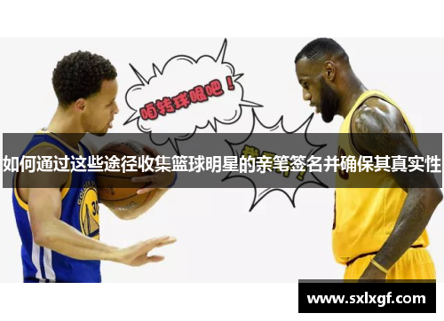 如何通过这些途径收集篮球明星的亲笔签名并确保其真实性